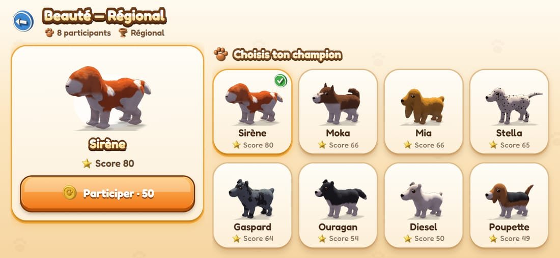 Un concours de beauté régional : choix du chien qui va concourir