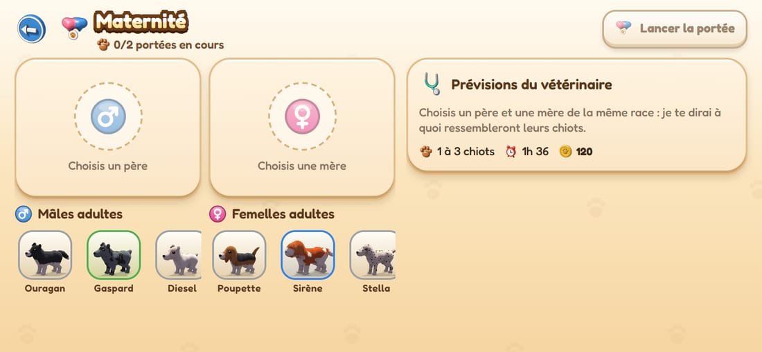 La maternité : choix du père et de la mère, prévisions du vétérinaire